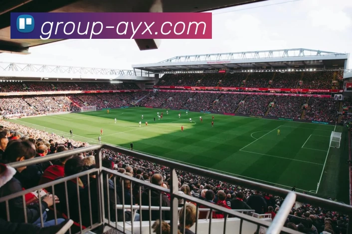 爱游戏APP 封面图